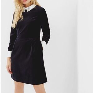 TED BAKER BLACK AND WHITE COLLARED DRESS